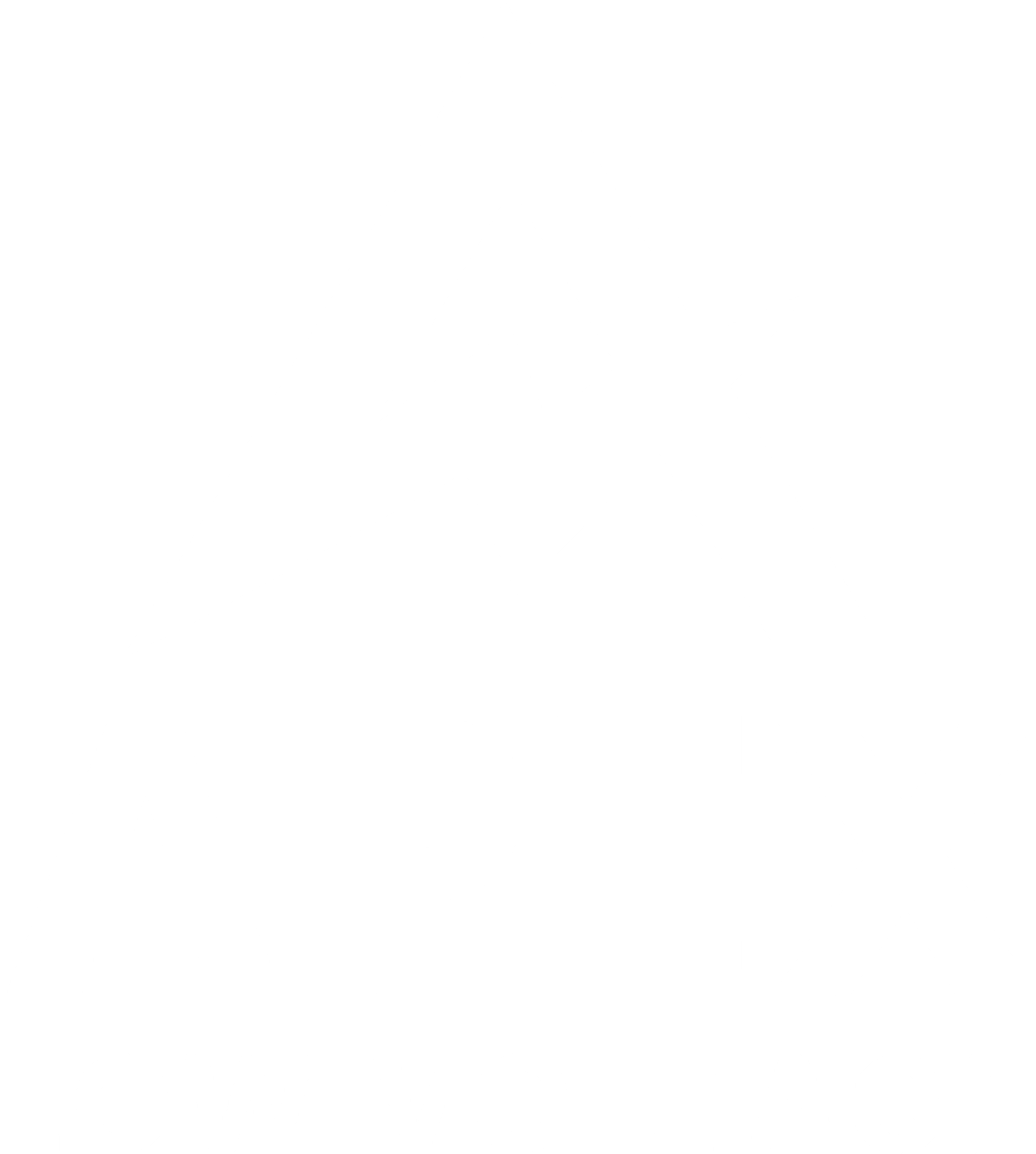 Apex Low Voltage Logo white